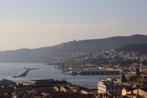 IR Panoramic, Trieste